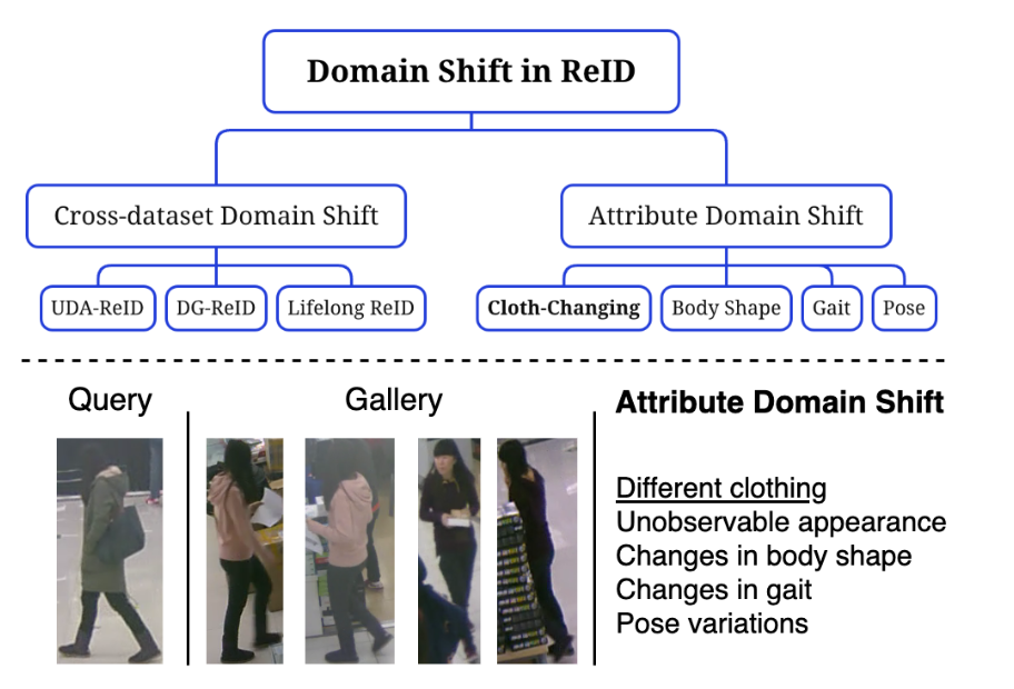 DomainShiftReID